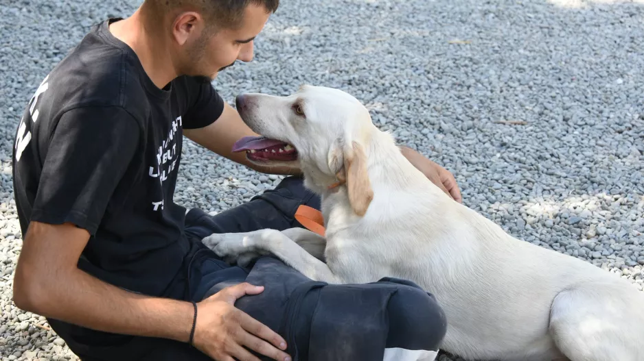 Simba Animal Aid: Ένας Σεπτέμβριος γεμάτος δράσεις για τους τετράποδους φίλους μας - Κάθε βοήθεια είναι απαραίτητη