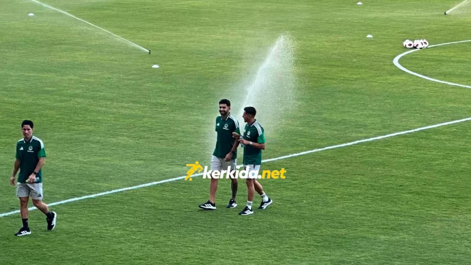 Μιλούν την ίδια... γλώσσα!