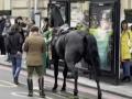 Σε σοβαρή κατάσταση δύο από τα άλογα που έτρεχαν ανεξέλεγκτα στο κέντρο του Λονδίνου