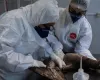 Επιβεβαιώθηκε το πρώτο κρούσμα γρίπης των πτηνών στην Αυστραλία