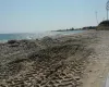 Εντοπίστηκε πτώμα άνδρα σε παραλία στο Κίτι