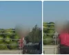 Τρεις καταγγελίες...για τα καρπούζια!