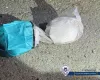 (Φώτος) Κατάσχεση πέραν των δύο κιλών κοκαΐνης – Σύλληψη τεσσάρων προσώπων