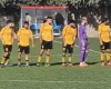 Τελευταία νέα/ Επιστροφή και επιτροπές