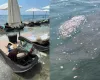 Στη Βουλή το πρόβλημα με τα λύματα σε παραλίες της Λεμεσού