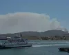 Τραγωδία στη Σαλαμίνα με νεκρούς από φωτιά (Βίντεο)