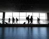 Νεκρός από ελονοσία εργαζόμενος στο αεροδρόμιο της Φρανκφούρτης