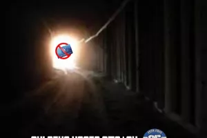 ΜΑΧΗΤΕΣ: "Πιστεύει ότι το Τσίρειο είναι ποδοσφαιρικό γήπεδο, εμείς είμαστε ελέφαντες"