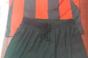 Φτεροπόδαροι… 2019/2020