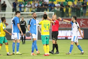 6 κίτρινες/ΑΡΕΝΑ