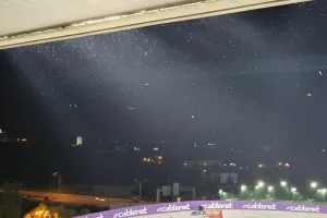 (Βίντεο/φώτος) "ΕΠΙΘΕΣΗ" (και) από έντομα!