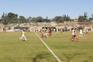 ΕΡΥΘΡΟΛΕΥΚΗ νίκη