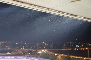 (Βίντεο/φώτος) "ΕΠΙΘΕΣΗ" (και) από έντομα!