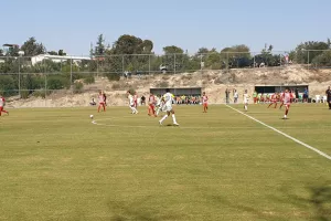 Κ14 ΑΕΚ-Νέα Σαλαμίνα (Φωτορεπορτάζ)