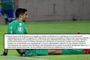 ΜΠΟΡΕΙ (αν χρειαστεί) να αντικαταστήσει ΠΑΝΑΓΗ (Τι αναφέρει η προκήρυξη)