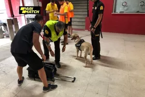 ΑΠΟΕΛ/Υποδοχή... με Labrador (φώτο)