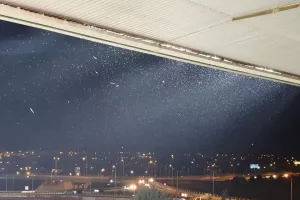 (Βίντεο/φώτος) "ΕΠΙΘΕΣΗ" (και) από έντομα!