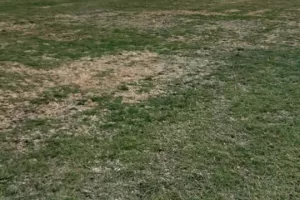 "Δεν είναι χωράφι ούτε περιβόλι/ 3 σοβαροί τραυματισμοί στο γόνατο" (Φώτος)