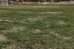 "Δεν είναι χωράφι ούτε περιβόλι/ 3 σοβαροί τραυματισμοί στο γόνατο" (Φώτος)