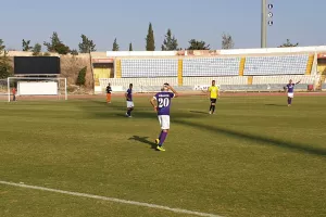ΤΡΙΠΟΝΤΟ με Σάλιτς (φώτος) 