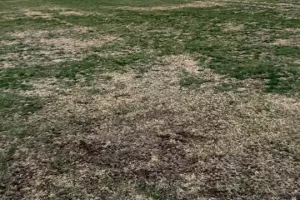 "Δεν είναι χωράφι ούτε περιβόλι/ 3 σοβαροί τραυματισμοί στο γόνατο" (Φώτος)