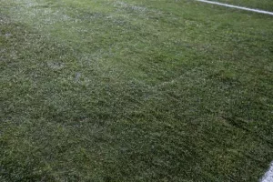 Έλεγχος UEFA για το γρασίδι (φώτος)