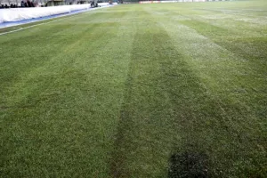 Έλεγχος UEFA για το γρασίδι (φώτος)