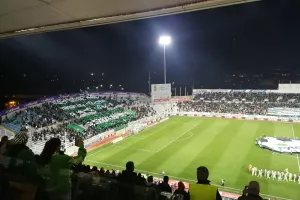 (ΦΩΤΟΣ/ΒΙΝΤΕΟ) Το πράσινο κορεό 