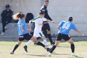 Πρωτάθλημα Γυναικών Dimco -Πρόγραμμα 14ης αγωνιστικής