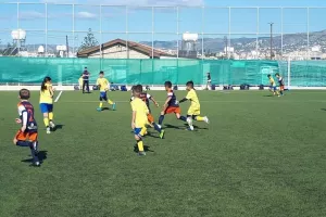Grassroots/ΦΩΤΟΣ