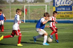 Δείγματα γραφής από τα ερυθρόλευκα βλαστάρια (φώτος)