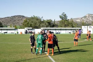 (Φωτορεπορτάζ) Ομόνοια Ψευδά - Διγενής Ακρίτας 
