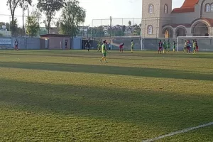 Πεντάρα η Αλκή (φώτος)
