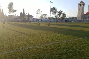 Πεντάρα η Αλκή (φώτος)
