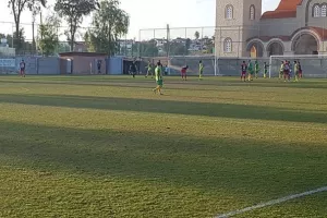 Πεντάρα η Αλκή (φώτος)