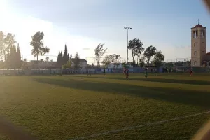Πεντάρα η Αλκή (φώτος)