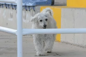 Season... ο πιστός!