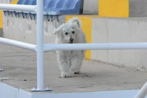 Πεντάρα-ΟΝΕΙΡΟ ο Εθνικός/ ΔΙΑΣΥΡΜΟΣ και... μαύρο απόγευμα για Ανόρθωση (φώτος)