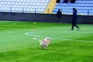 ΩΡΑΙΟ στο ΠΑΠ/ Για ζέσταμα... και ο τετράποδος φιλαράκος! (Φώτος)