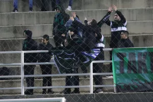 Κερκίδα/Δασάκι