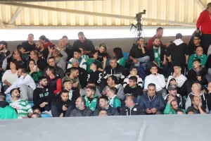 "Πράσινα" ΚΛΙΚΣ από τον κόσμο στο Τσίρειο