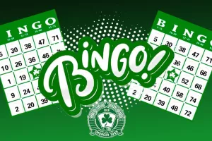 Διαδικτυακό BINGO