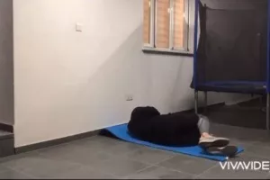 Αρκετή δουλειά (Φώτος)