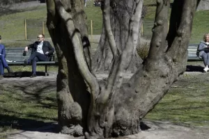 Θα απλώσουν... κοπριά για να μην πάει ο κόσμος στα πάρκα!!!