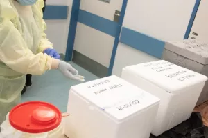 Τα συμπτώματα που παρουσίασαν τα κρούσματα στην Κύπρο-Στοιχεία