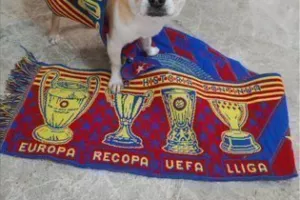 ΥΠΕΡΟΧΟ ποστάρισμα/ Κατοικίδια... ΜΠΑΡΤΣΑ! (Φώτος)