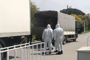 "Κάναμε λαθρεμπόριο"!!! Τους δώσαμε ΦΑΡΜΑΚΑ και... μαλλώνουν μεταξύ τους!