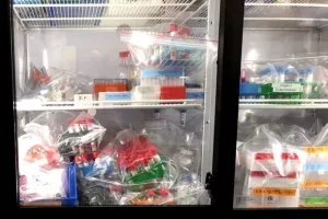 Εντυπωσιακά αποτελέσματα από δοκιμή θεραπείας με πλάσμα ασθενών