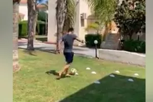 ΒΙΝΤΕΟ/Show από ΜΑΤΕΙ