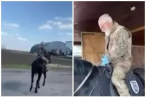 Ιππασία για Σαββίδη με άλογο... ΠΑΟΚ! (βίντεο)